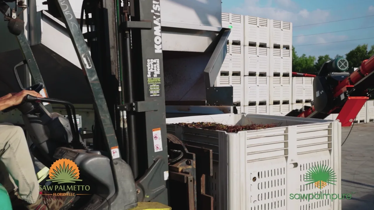 Aerial view from the Saw Palmetto Florida company video